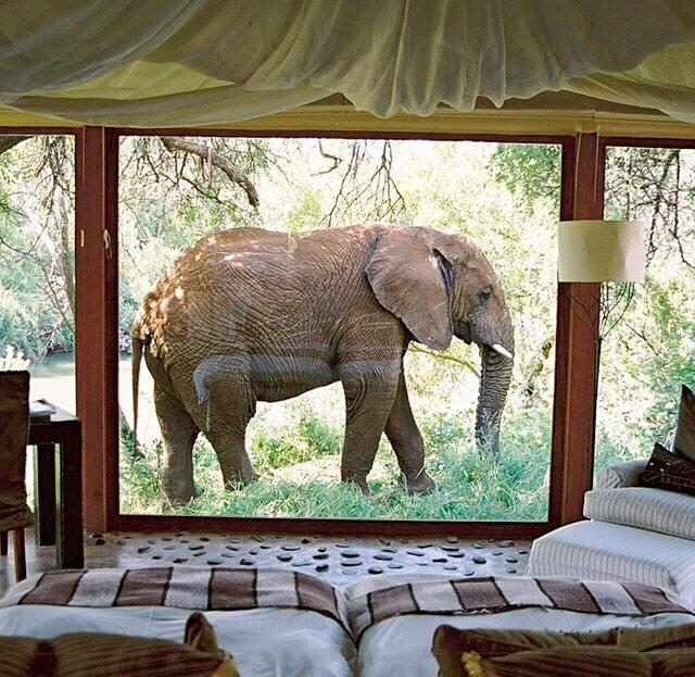 _Nature_Scenes's tweet image. Hello neighbor