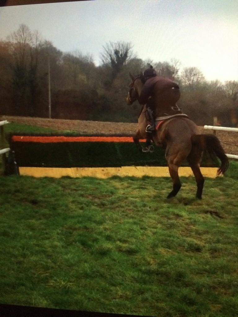 joehill95's tweet photo. Can't wait to see Oliver's hill run this year! Schooled class with @charliedeutsch2 the other day! #somescope #comeup http://t.co/ZCoGhTkNal