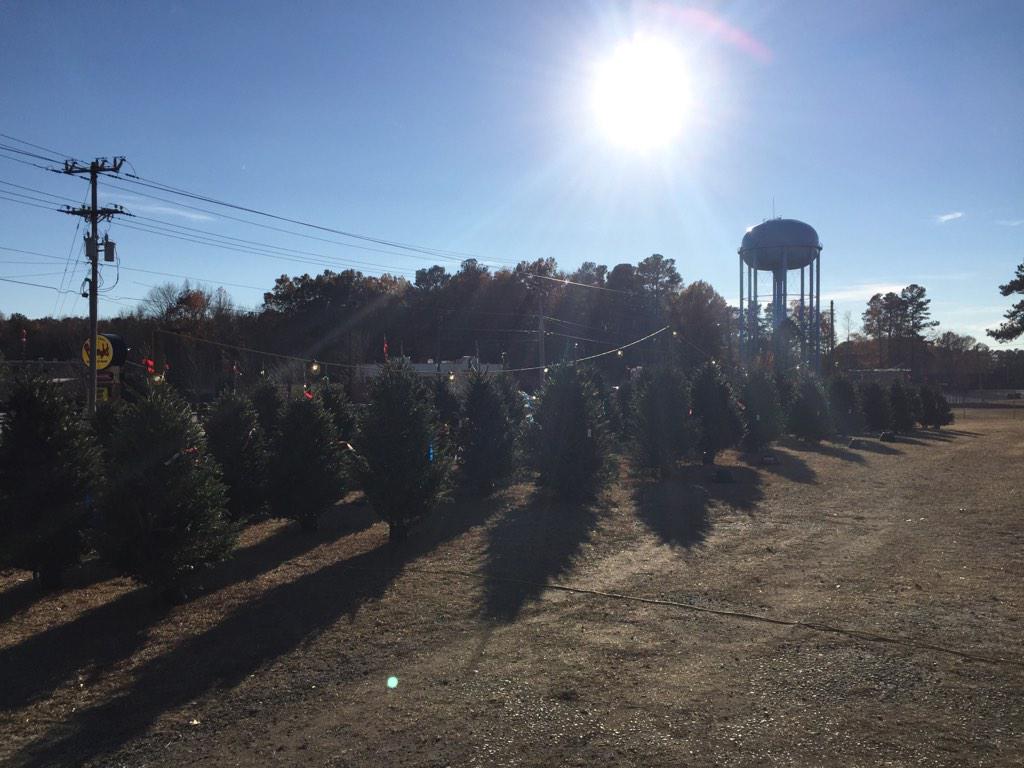 TreesClinton's tweet image. 