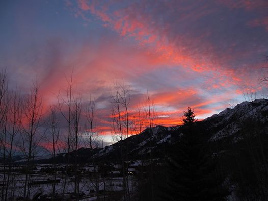 Embedded image permalink