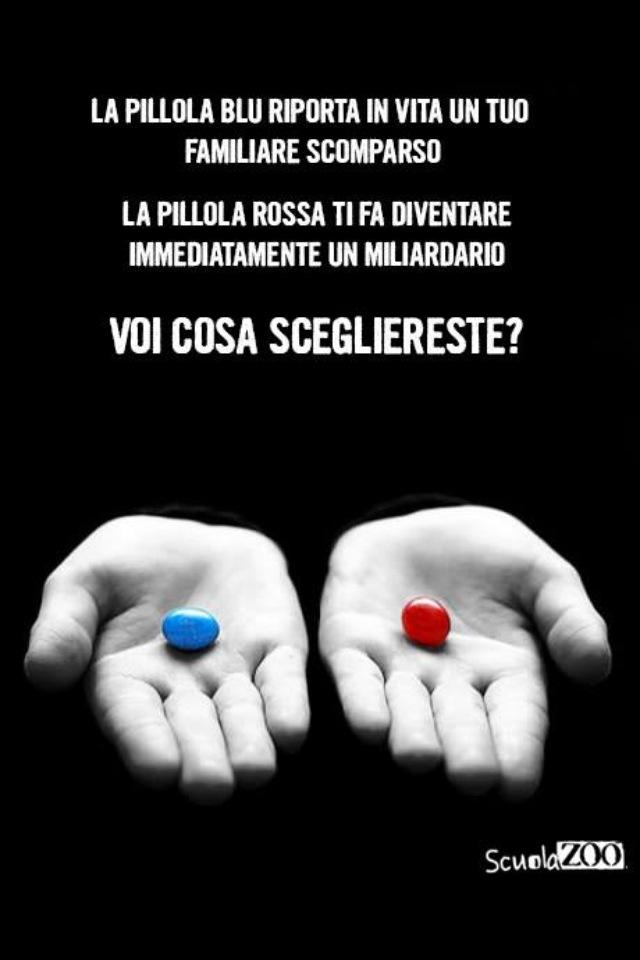 andreacoco2001 tweet picture
