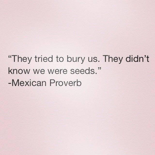 cmschroed's tweet image. to the amazing young people in Egypt, Syria, everywhere who build regardless  -- I share this proverb: