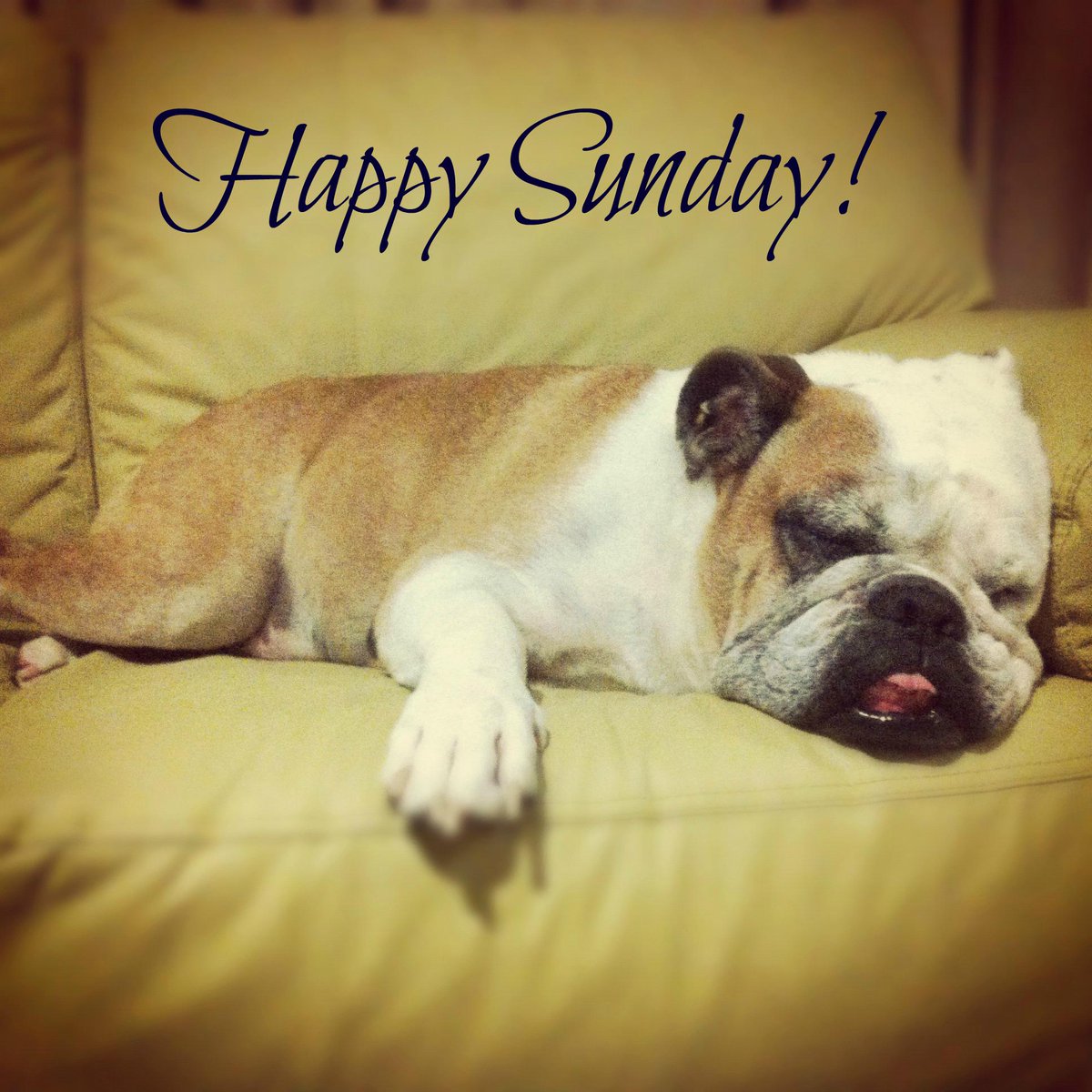 AusOffers's tweet photo. Have a great #sunday ! :) http://t.co/cDWYjP5Tkj