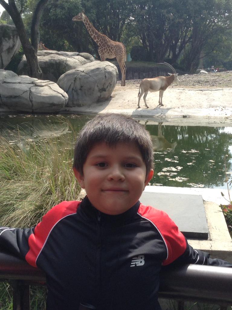 ZamyraC's tweet photo. @nayelihegar1 fotos del zoológico julio calderon http://t.co/7J3rA3CmCJ