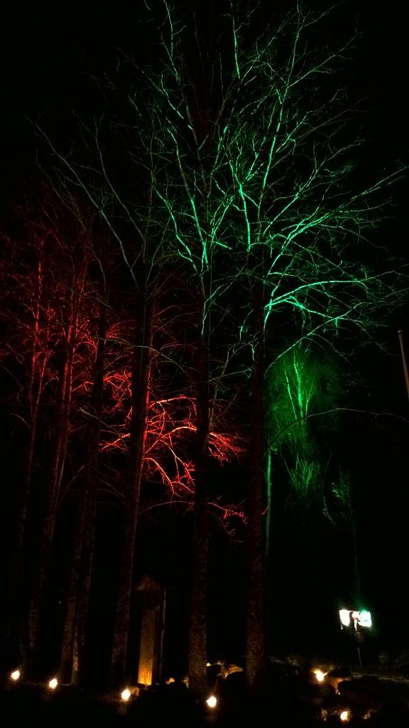 ArjaFilen's tweet photo. Pimeän ja valon leikkejä tänään Koitelissa. #valoakoiteli #valoaoulu @KoiteliElaa @GoArctic http://t.co/fFKIPZnvp3