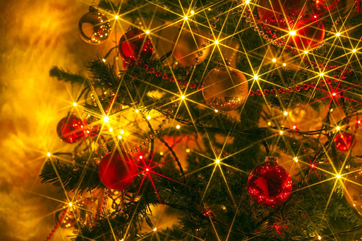 shrubbarber's tweet photo. #HappyHolidays from @ShrubBarber! Like us on Facebook for #social only specials! #landscape #startup #knoxville http://t.co/skL8LQbViO