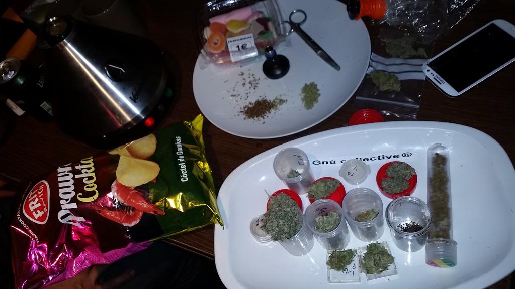 ChavoGnuGrowers's tweet photo. @Gnu_Collective #tasting #GnuHQ #Dontstopvaping #waterhash #DocsOg #Darkdiesel #TheOx #dancehall #moreandmore http://t.co/SfTaeRkERY