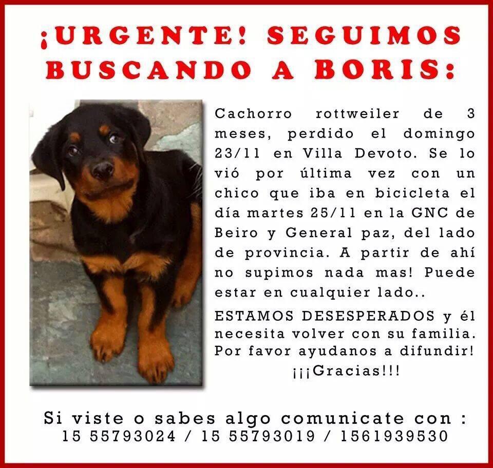 jorgelegnani's tweet photo. http://t.co/WgLIDnFjpt