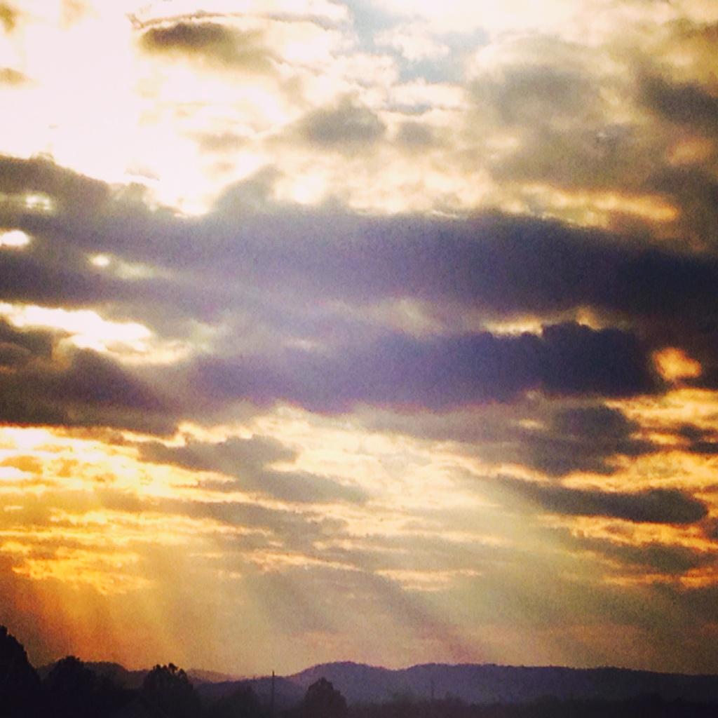 hammockmusic's tweet photo. Where the Light Gets In... http://t.co/lNJi9lFw05