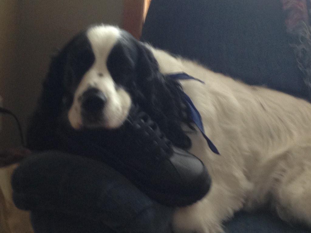 willowriverguy's tweet image. 