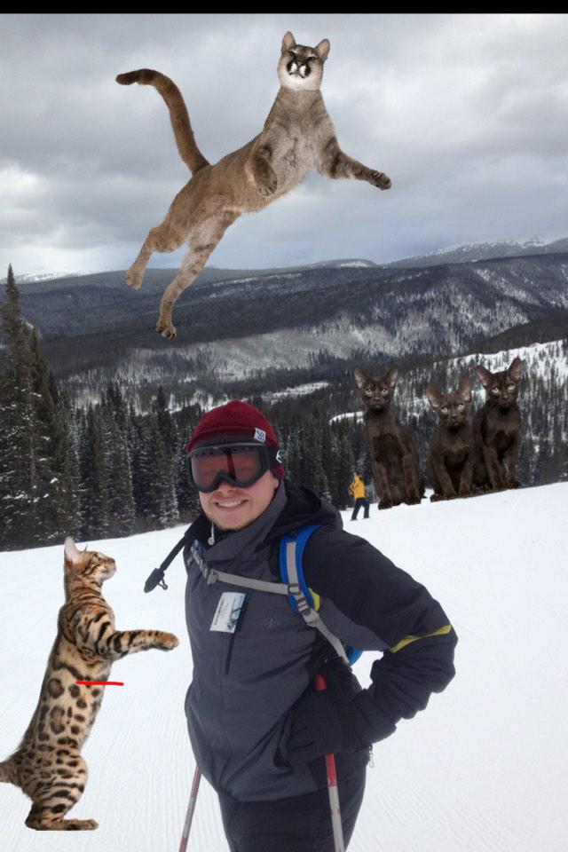 mhall91's tweet photo. Hey @TabernacleKid! Remember that time we went skiing? http://t.co/t21sCUJsYC