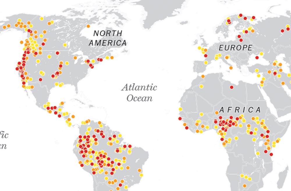 PostGraphics's tweet image. U.N. : 50% of the languages spoken today, will vanish by the end of the century. washingtonpost.com/world/losing-l…