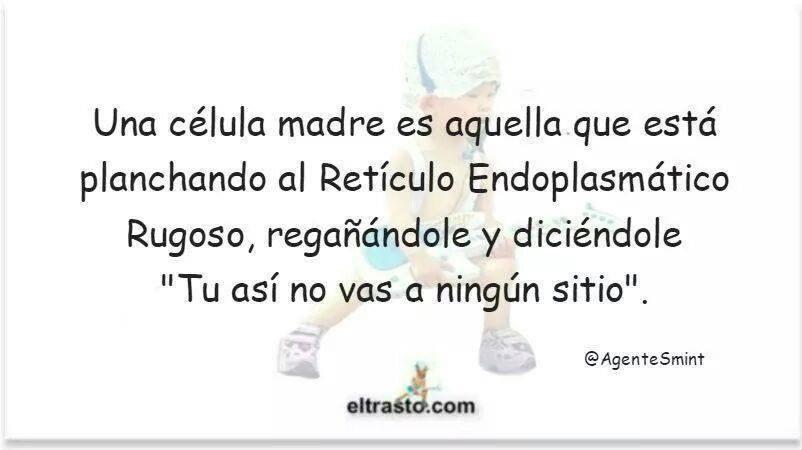 GloriaBiogeo's tweet photo. #chistefriki   😂😂😂😂 http://t.co/q06LqtVsjH