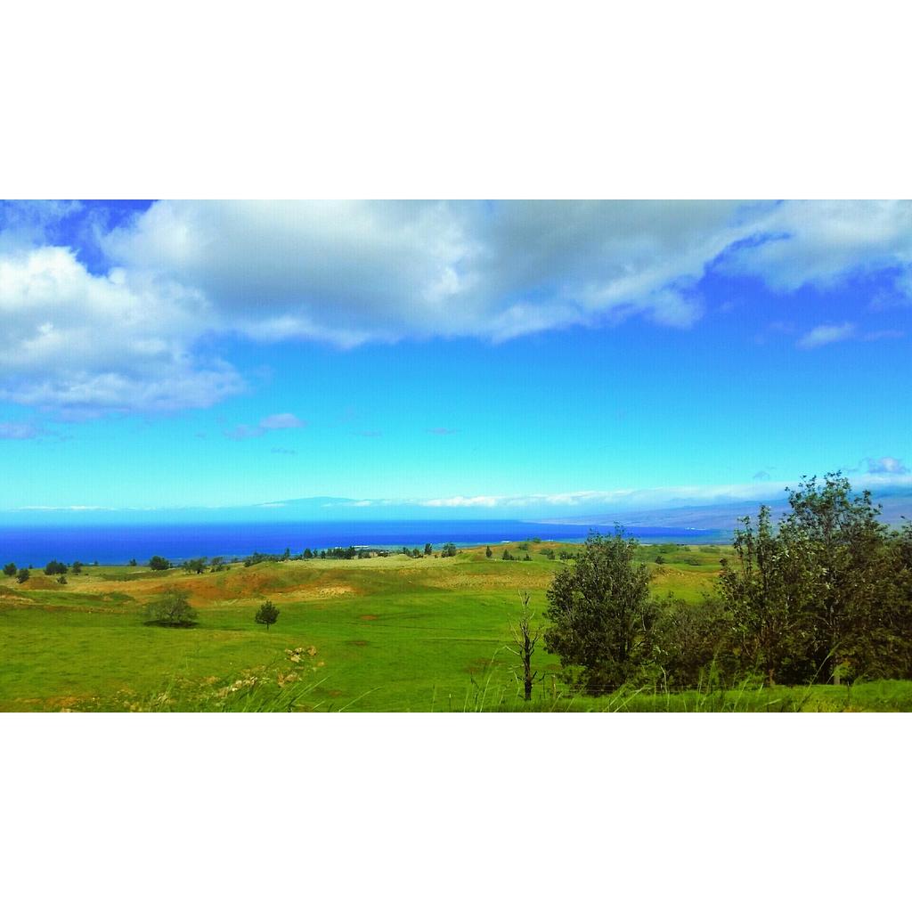 Workin on that golf game #bigisland