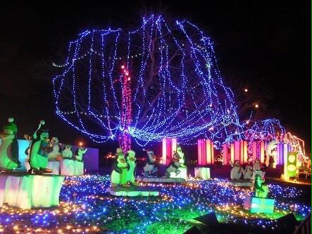 ChiIIVlbes's tweet photo. If it's real, take me to Trail of Lights in Austin, Texas. 😍🎅🎄 http://t.co/6TrJvZ5AjP