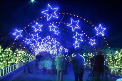 ChiIIVlbes's tweet photo. If it's real, take me to Trail of Lights in Austin, Texas. 😍🎅🎄 http://t.co/6TrJvZ5AjP