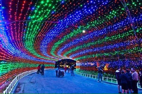 ChiIIVlbes's tweet photo. If it's real, take me to Trail of Lights in Austin, Texas. 😍🎅🎄 http://t.co/6TrJvZ5AjP