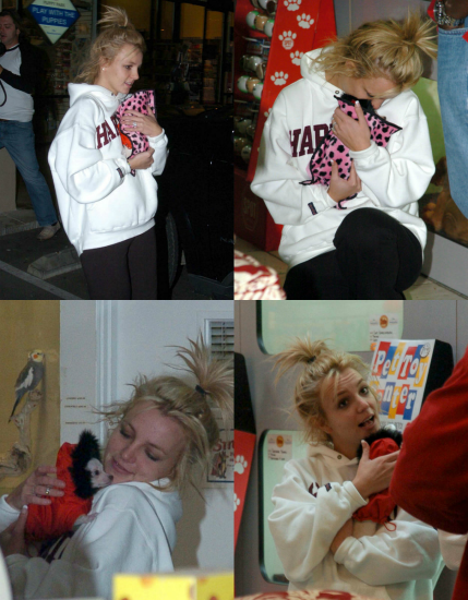 GossipBritney tweet picture
