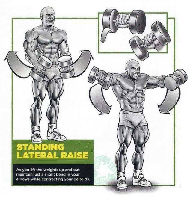 universalcarbon's tweet image. Have a look right way to do shoulder workout.

#workoutmotivation 
#Shoulderexercise