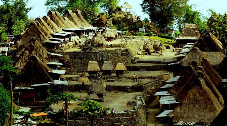 hipwee's tweet photo. Pengen ngerasain hidup di zaman Megalitikum? Datang aja ke Kampung Bena, Flores, NTT!
http://t.co/yIo05Dk3Kn http://t.co/na56QvRWI7