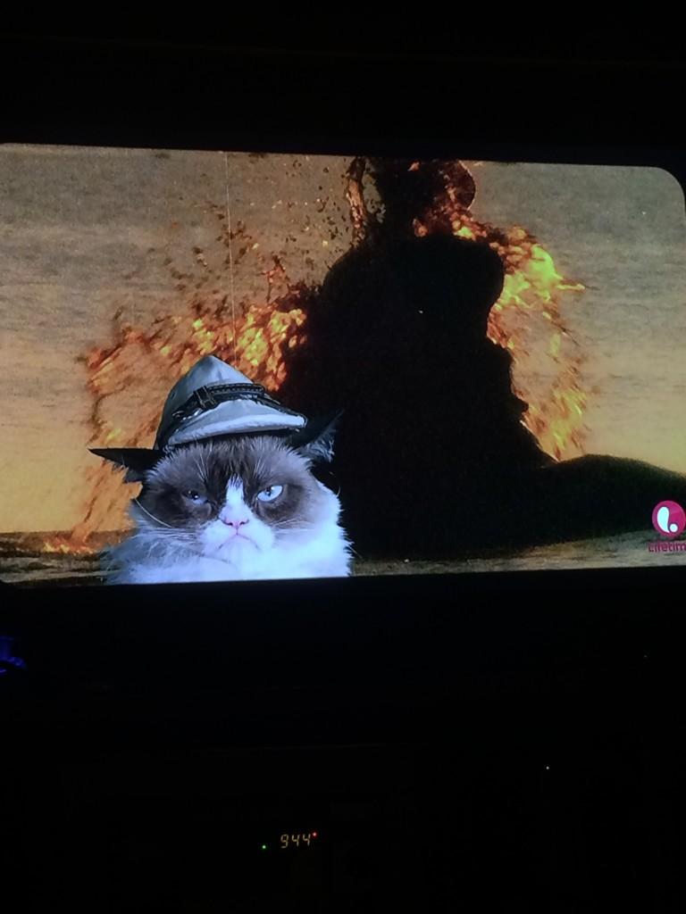 dontgetMAD_son's tweet photo. Grumpy cat now has multiple shows on Lifetime #WorstChristmasEver http://t.co/BTUK06BQMv