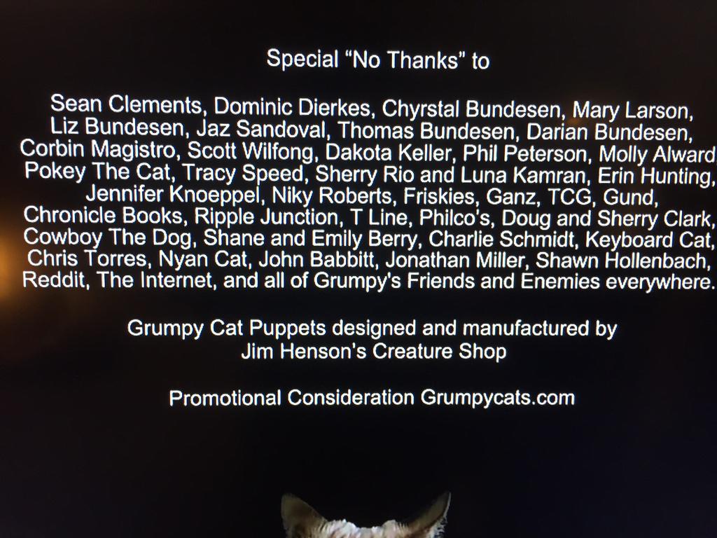 RealGrumpyCat's tweet photo. #WORSTCHRISTMASEVER http://t.co/84RAv4kA4u