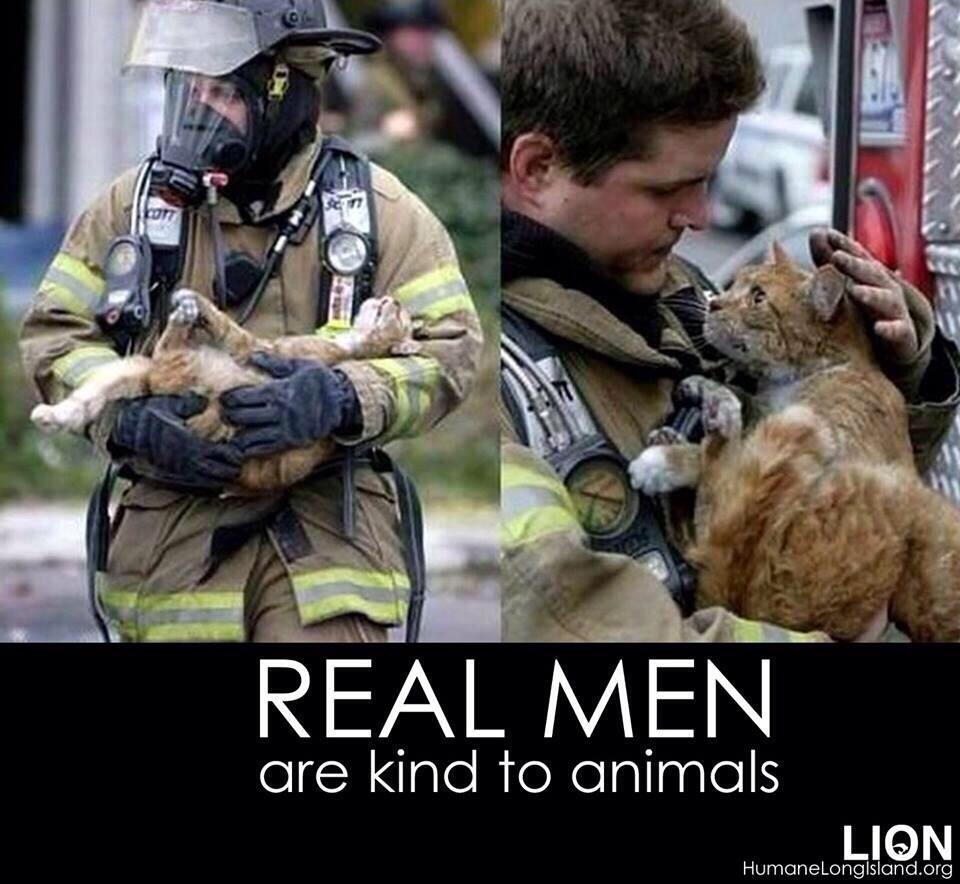 Real men are kind to Animals.