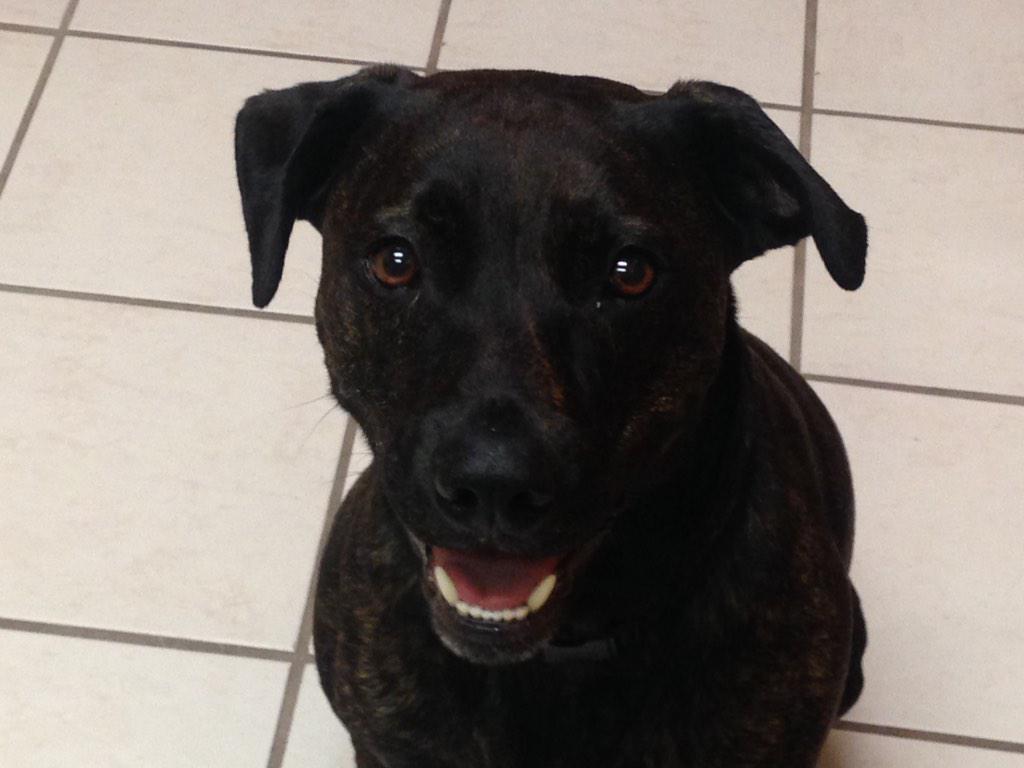 temmas583's tweet photo. #ShowUsYourPits http://t.co/TN4UNQOvly