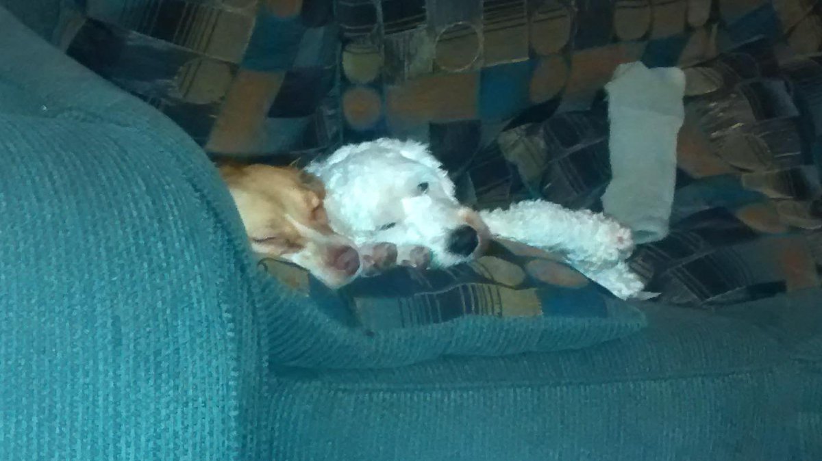 Alexmitchell22's tweet image. #showmeyourpits