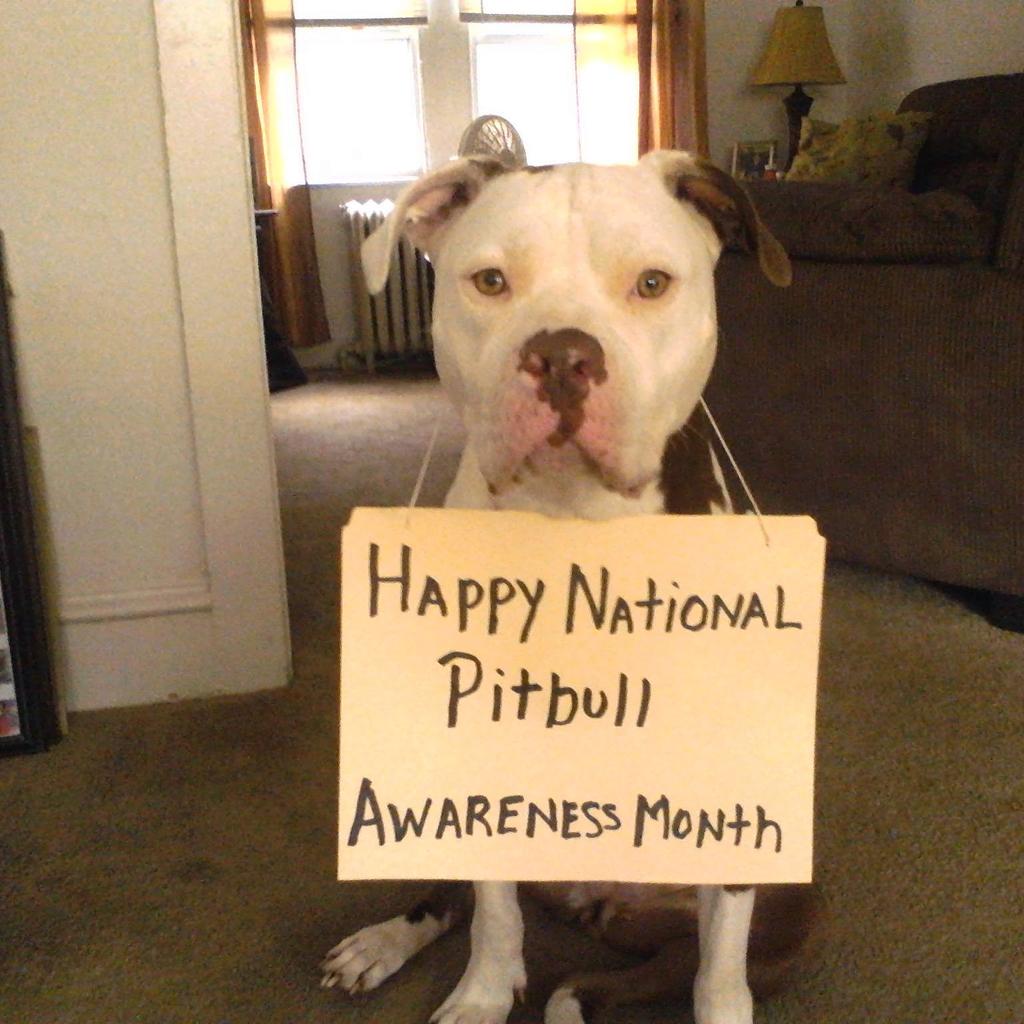 PLEASE PLEASE PLEASE SHOW MY GIRL #ShowUsYourPits