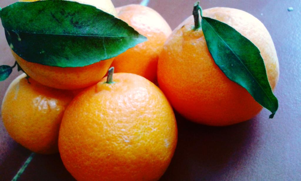 @durar_7 <a href="/asbf002/">حوريه</a> <a href="/Mozan5555Oman/">عُمان❤️السعيدي</a> <a href="/shama346/">الهنوف</a> @m2m24444 #صباحكم مثل الأفندي يا طعمكم حلو أو حامض أنتم كما أردتم #تصويري