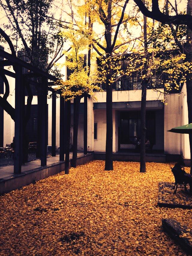 ixyogia's tweet photo. Library in hometown http://t.co/NDXpoIAEhr