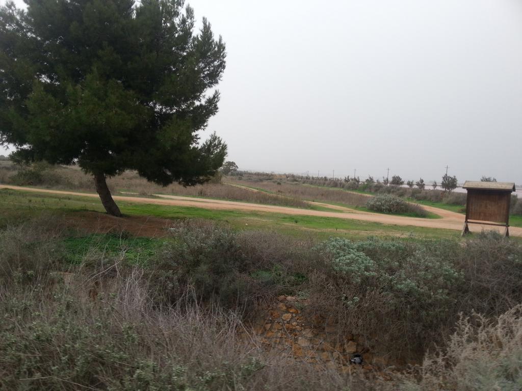 LucianoUras's tweet photo. #zoneumide #parlamentari #opensenato #Cagliari #Sardegna #legaambiente http://t.co/AmBRxqmD2z
