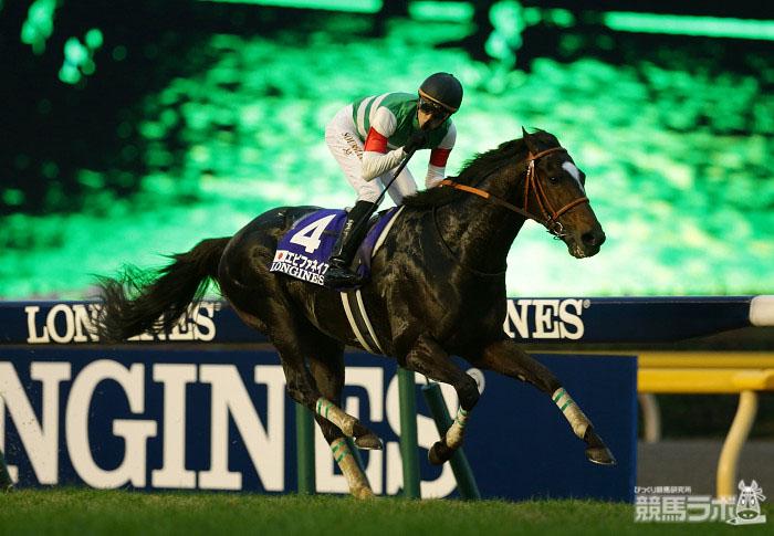 ジャパンC(G1)PHOTO】エピファネイア Epiphaneia（写真＝高橋章夫