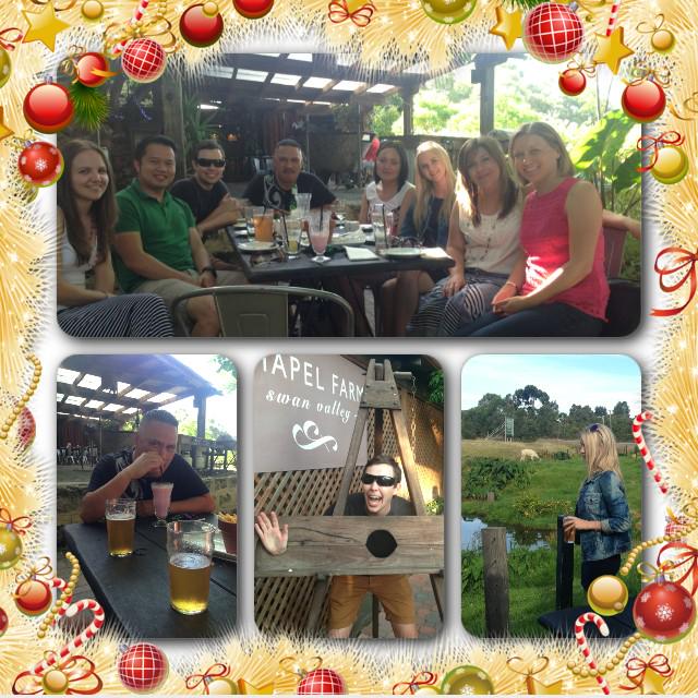 racheldearne's tweet photo. How the Perth team celebrate the silly season..visit a farm, drink milkshakes and act like tourists! @StGeorgeWA http://t.co/1gwPPnkdKh