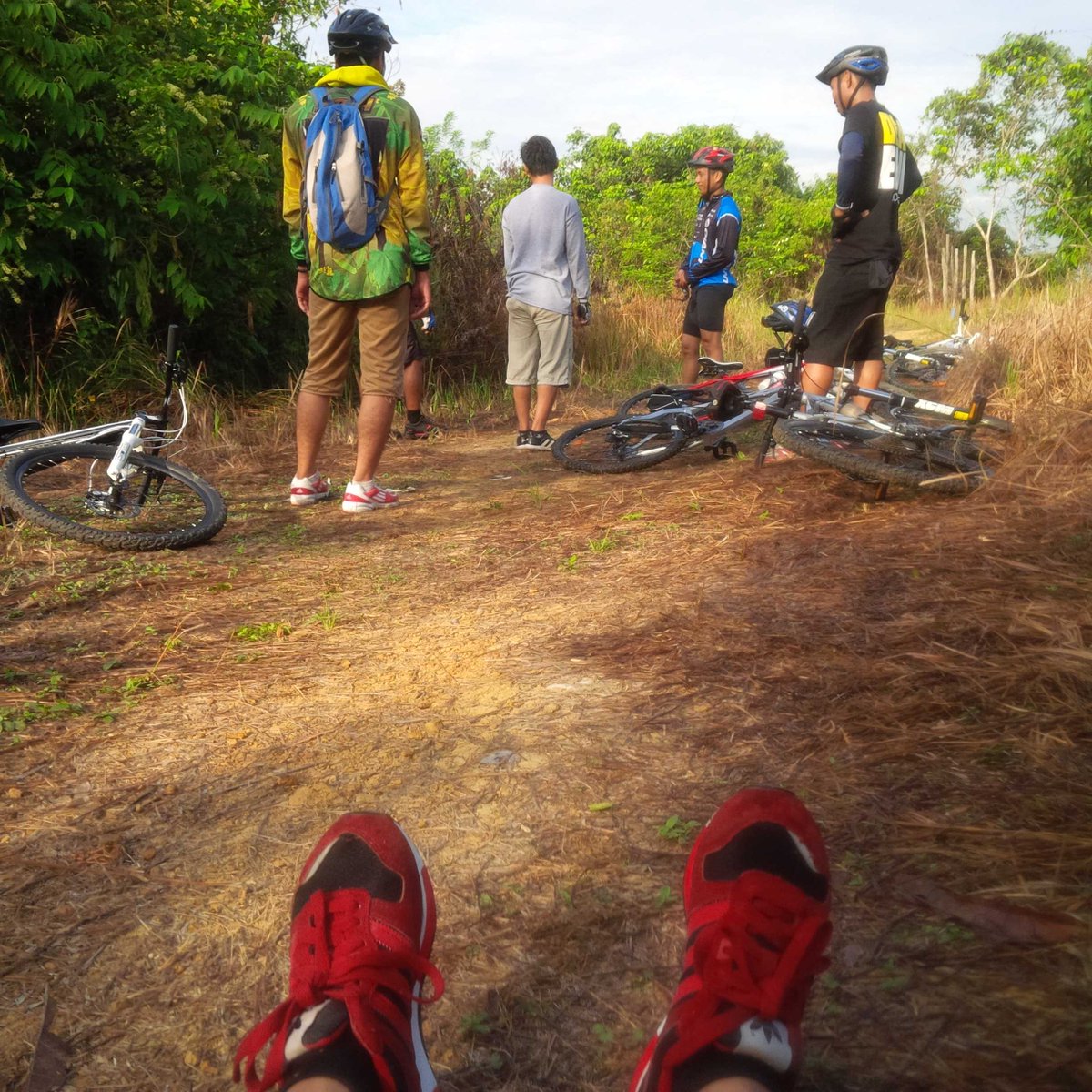 enkob's tweet photo. Gowes : hutan waduk (9) http://t.co/ejdeEtQuSo