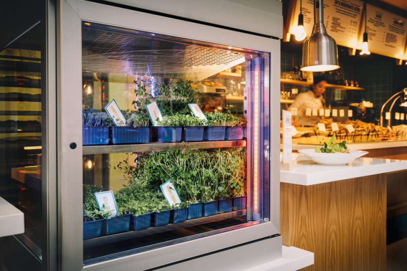 foodinspiration's tweet photo. Best gelezen deze week nr. 1: “Catering in beweging” http://t.co/BllOzsHiWq #channeltrend #trendreport2015 http://t.co/251s7C2QgW