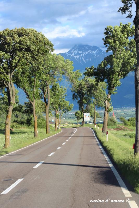 Andrea von <a href="/cucinadamore/">Andrea Veli</a> entführt uns auf bloggerkitchen.com/showcase/view/… zu einem Kurztrip nach Torbole am Lago di Garda.