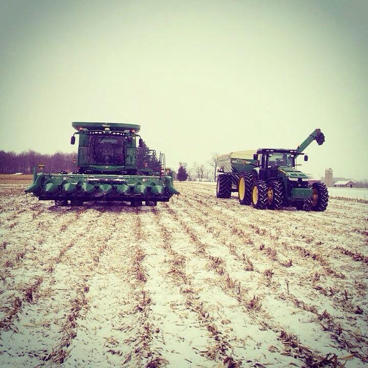 CrystalGeer77's tweet photo. The good life 💚💛 #ontag #harvest14 http://t.co/NExUf3RqcB