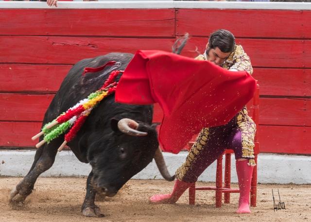 cultorocom's tweet photo. FOTOGALERÍA- Morante se inspira y torea por ayudados con una silla en Latacunga http://t.co/ZaoSQhUFG2 http://t.co/SjyNDshDRU