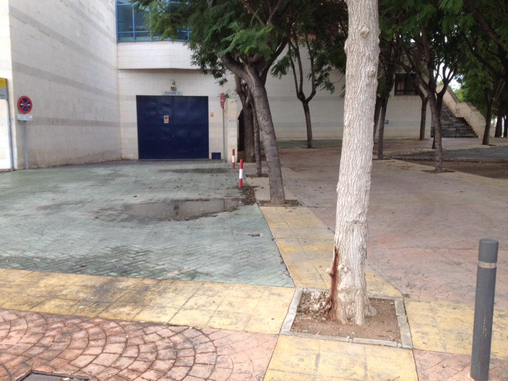 DavidGryphus's tweet photo. @murcialanparty Aqui sigo... (He meado en el arbol) ya queda menos... http://t.co/OK8Pkxu0HK