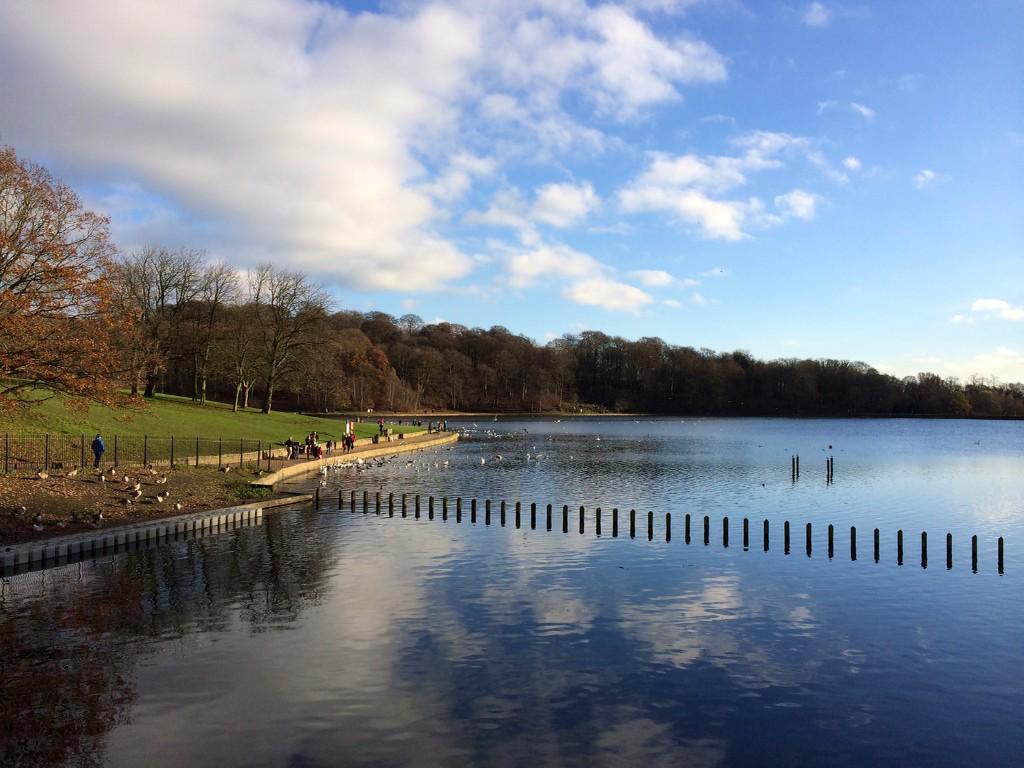 Jane Lawson cooks tweet media