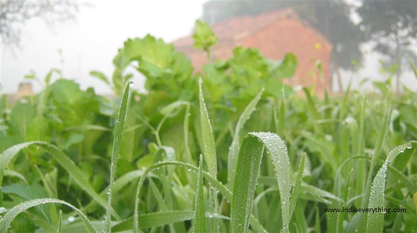 ShadowGraphical's tweet image. Grandeur Tourist Destination in India
indiaeverything.com/lifestyle/gran…