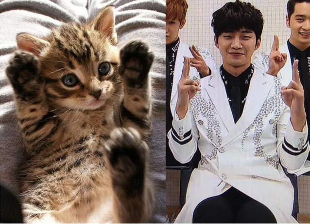 fai_bossanjazz's tweet photo. 너무 귀여웤 ㅋㅋㅋㅋㅋㅋㅋㅋㅋㅋㅋㅋㅋㅋㅋㅋㅋㅋ http://t.co/ZJv47cVXdU