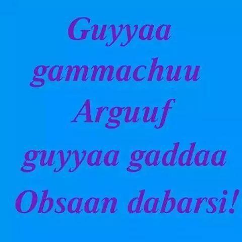 hayathiabu's tweet photo. http://t.co/M5sMxi2Pbv