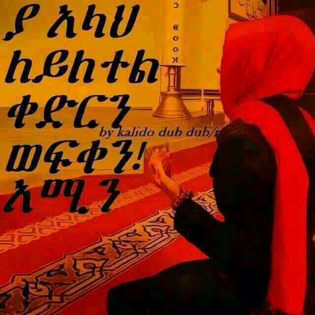 hayathiabu's tweet photo. http://t.co/UptwmpiiZx