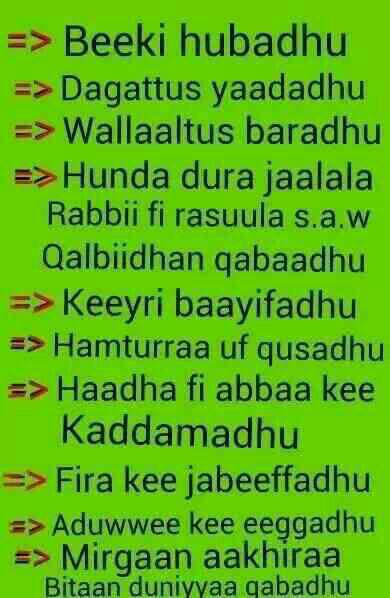 hayathiabu's tweet photo. http://t.co/UptwmpiiZx