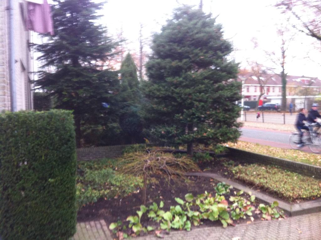 MennovdBorg's tweet photo. Zaterdag,voor en achtertuin gesnoeid en winterklaar gemaakt door @Bosman tuinen. http://t.co/au1U5HgVzz