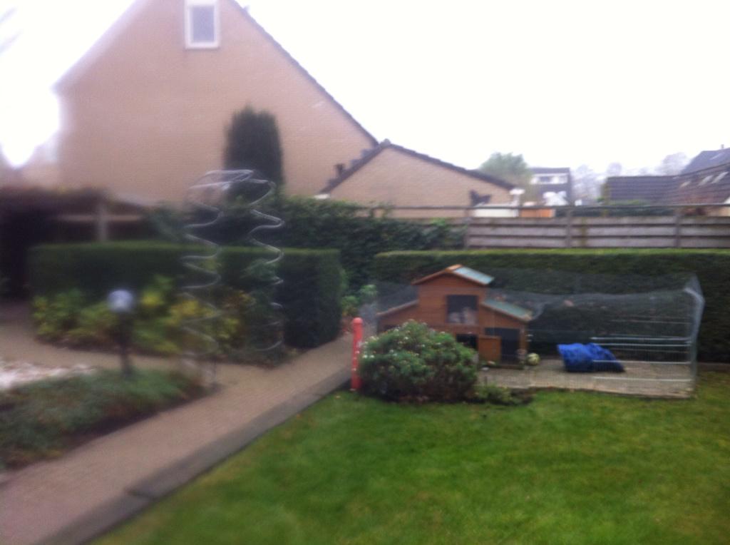 MennovdBorg's tweet photo. Zaterdag,voor en achtertuin gesnoeid en winterklaar gemaakt door @Bosman tuinen. http://t.co/au1U5HgVzz