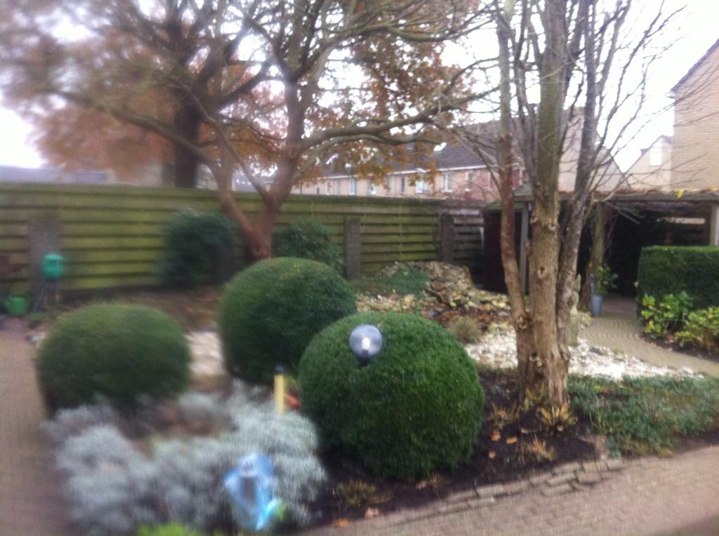 MennovdBorg's tweet photo. Zaterdag,voor en achtertuin gesnoeid en winterklaar gemaakt door @Bosman tuinen. http://t.co/au1U5HgVzz